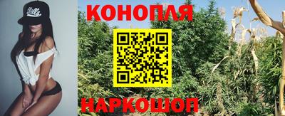 spice Балашиха