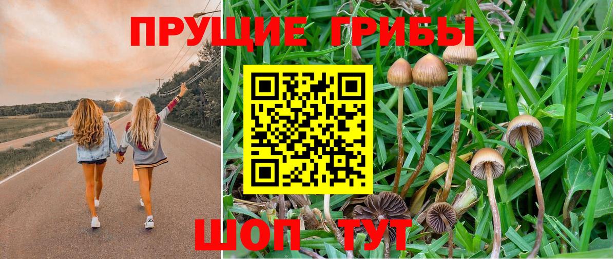 Галлюциногенные грибы ЛСД  где купить   Артёмовский  Вход с VPN 